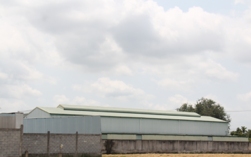 Nhà máy TienThanhWood